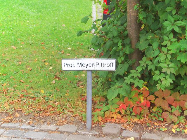 Professor Meyer-Pittroff [ ]
